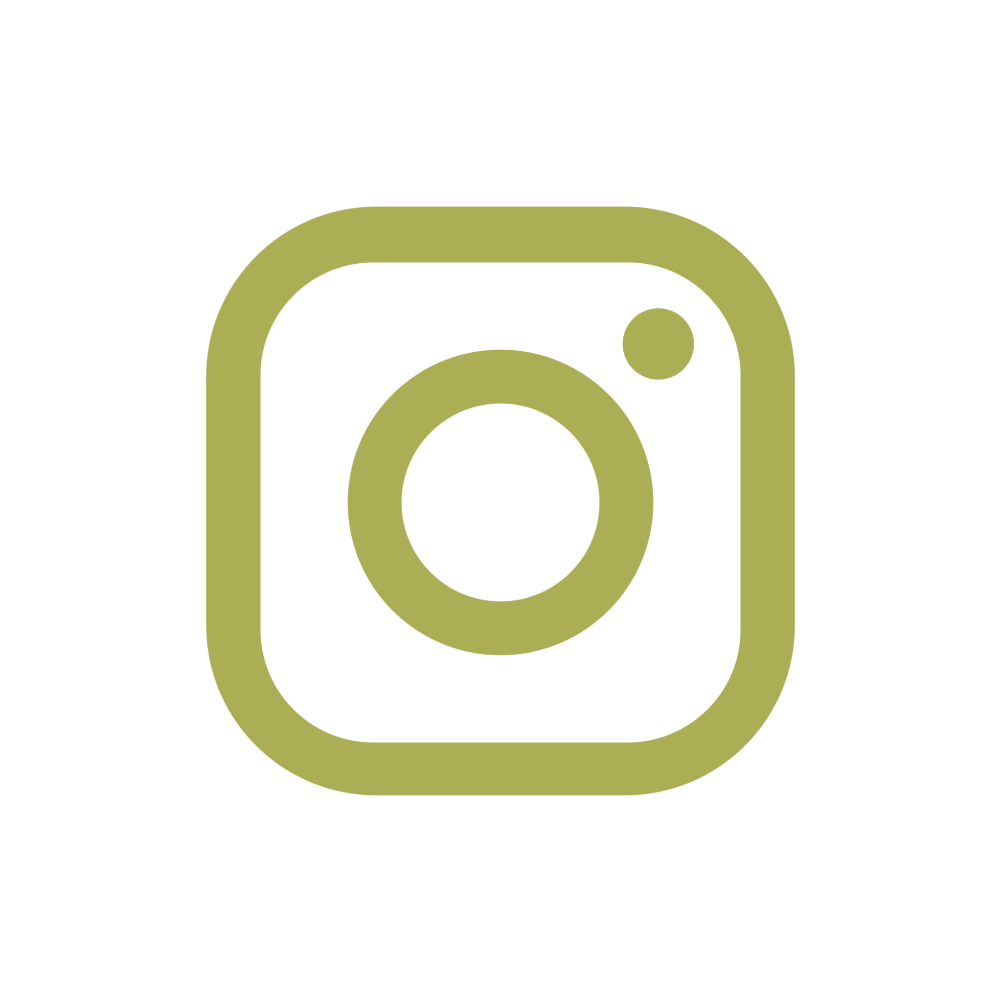 Instagram Icon